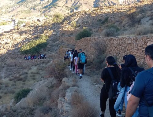 Jornada de convivencia en el Arroyo de Celín