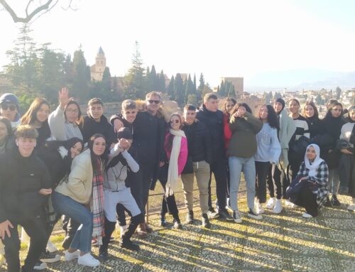 Visita a La Alhambra de Granada