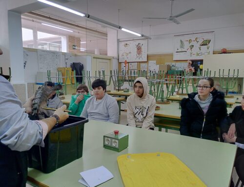 Taller de anfibios y reptiles