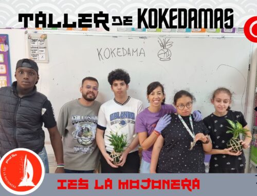 Kokedamas – PTVAL – 2024