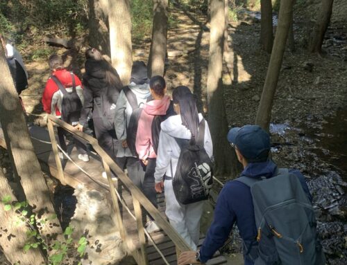 Sendero de la hidroeléctrica de Laujar – 2025