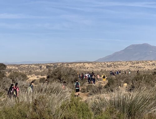 Sendero Punta Entinas – Almerimar – 2025