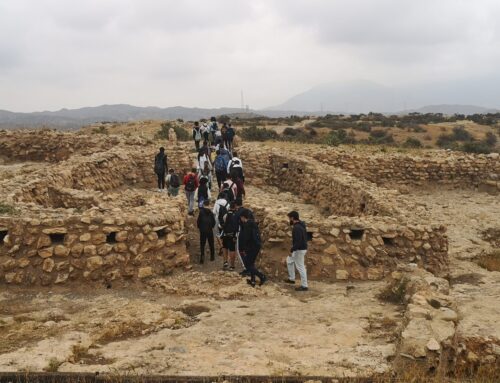 Visita a los Millares – 2026